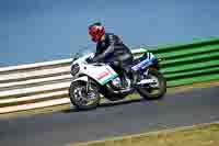 Vintage-motorcycle-club;eventdigitalimages;mallory-park;mallory-park-trackday-photographs;no-limits-trackdays;peter-wileman-photography;trackday-digital-images;trackday-photos;vmcc-festival-1000-bikes-photographs